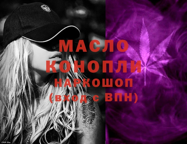 mdpv Бородино
